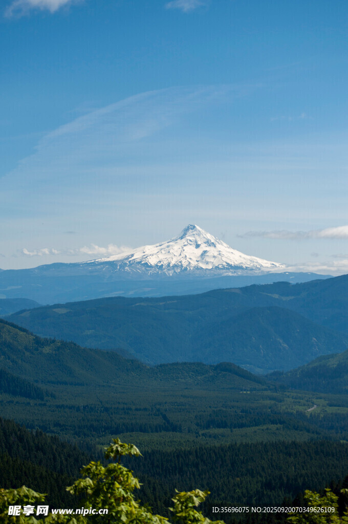 壯麗雪山與蔥郁山林景觀