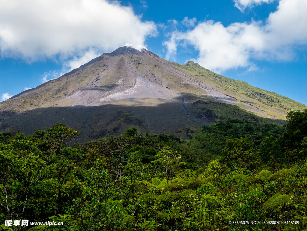 火山下的蔥郁森林景觀