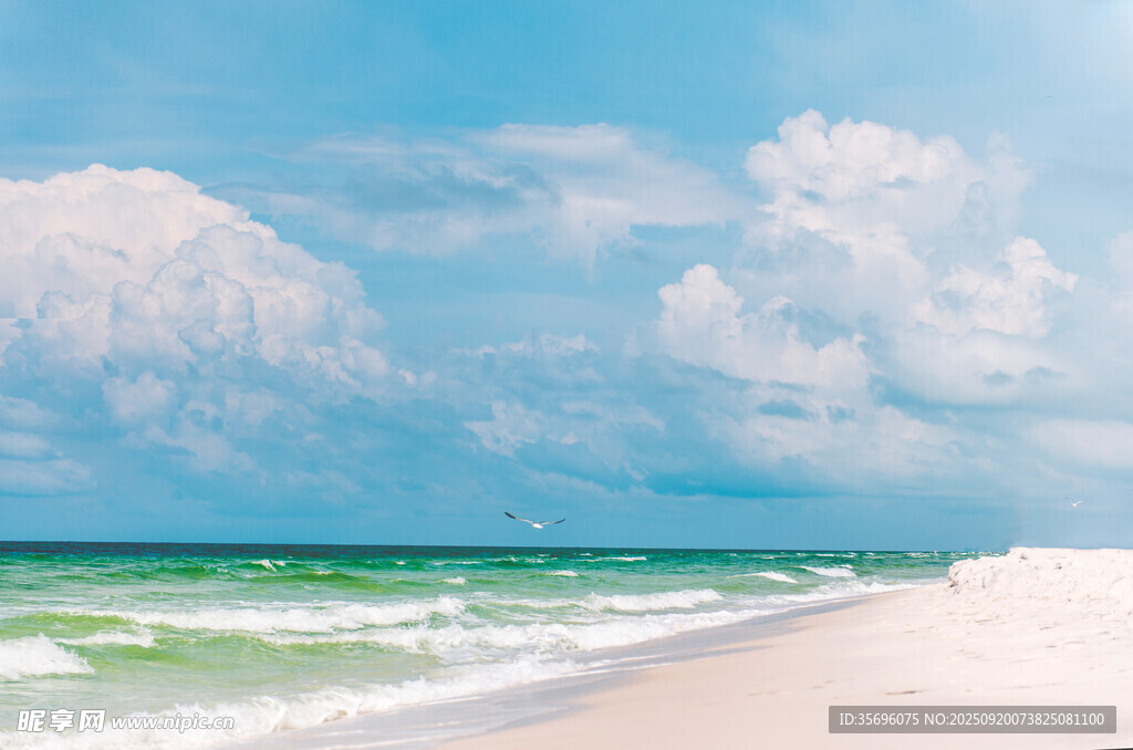 美麗海濱沙灘與海浪景觀