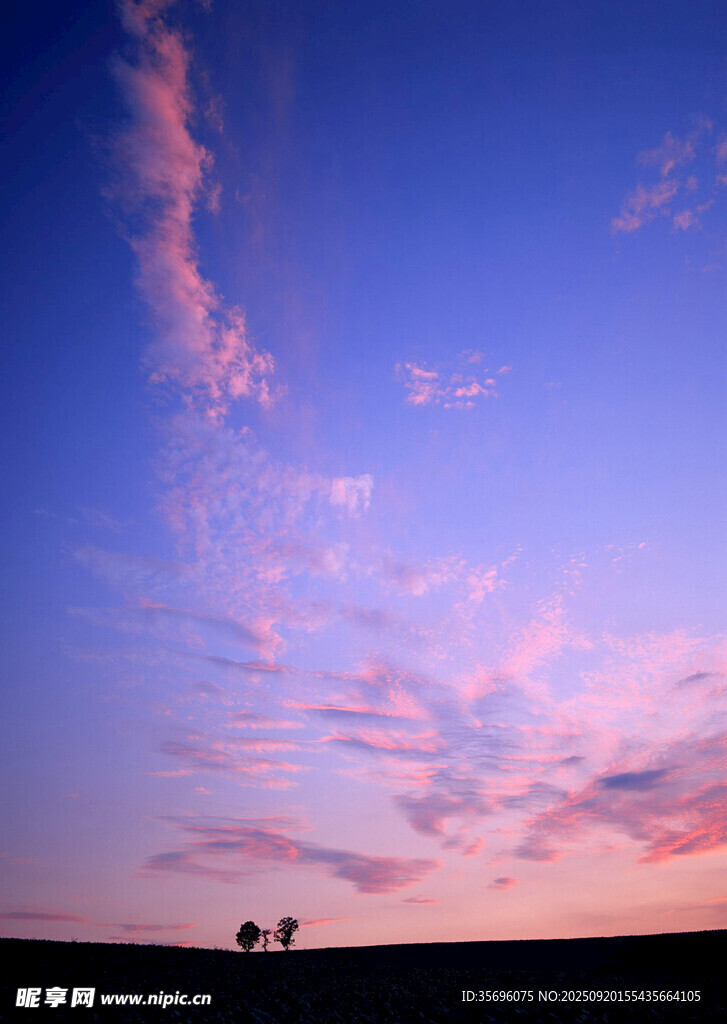 夕陽下的騎行身影