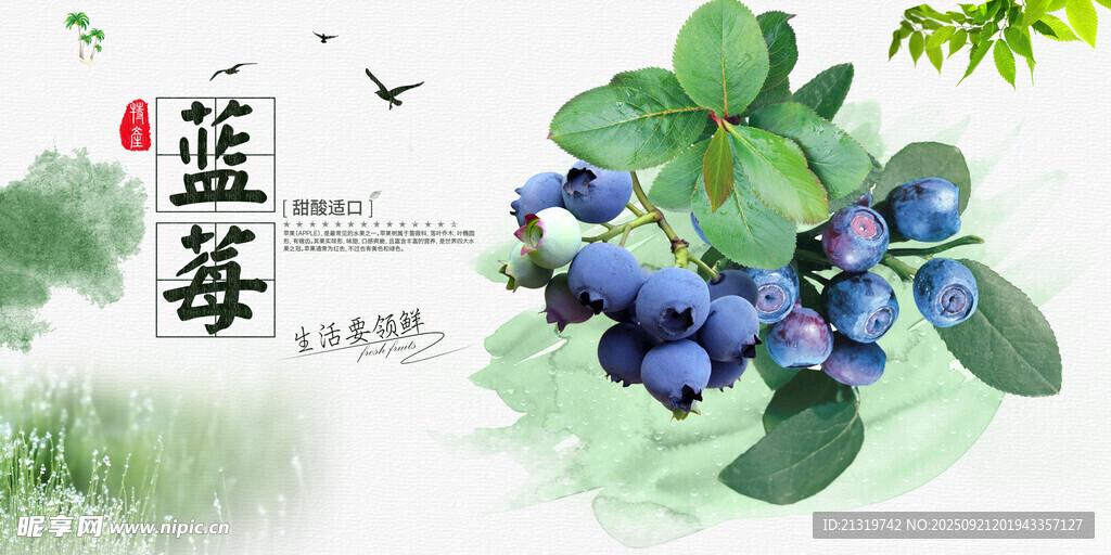 新鮮藍莓展板