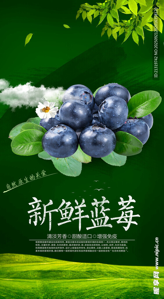 新鮮藍莓