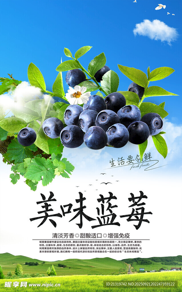 美味藍(lán)莓