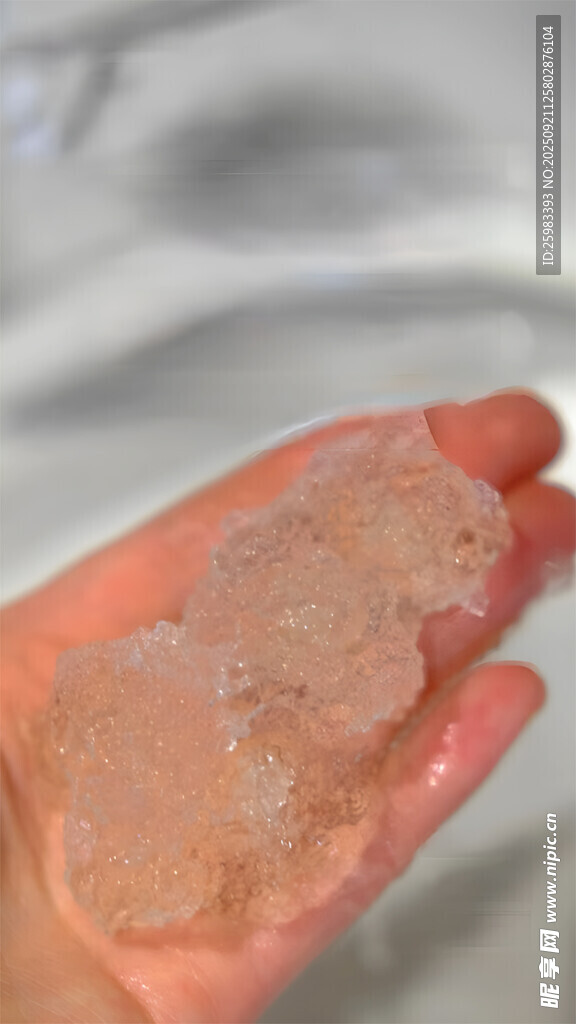 雪燕