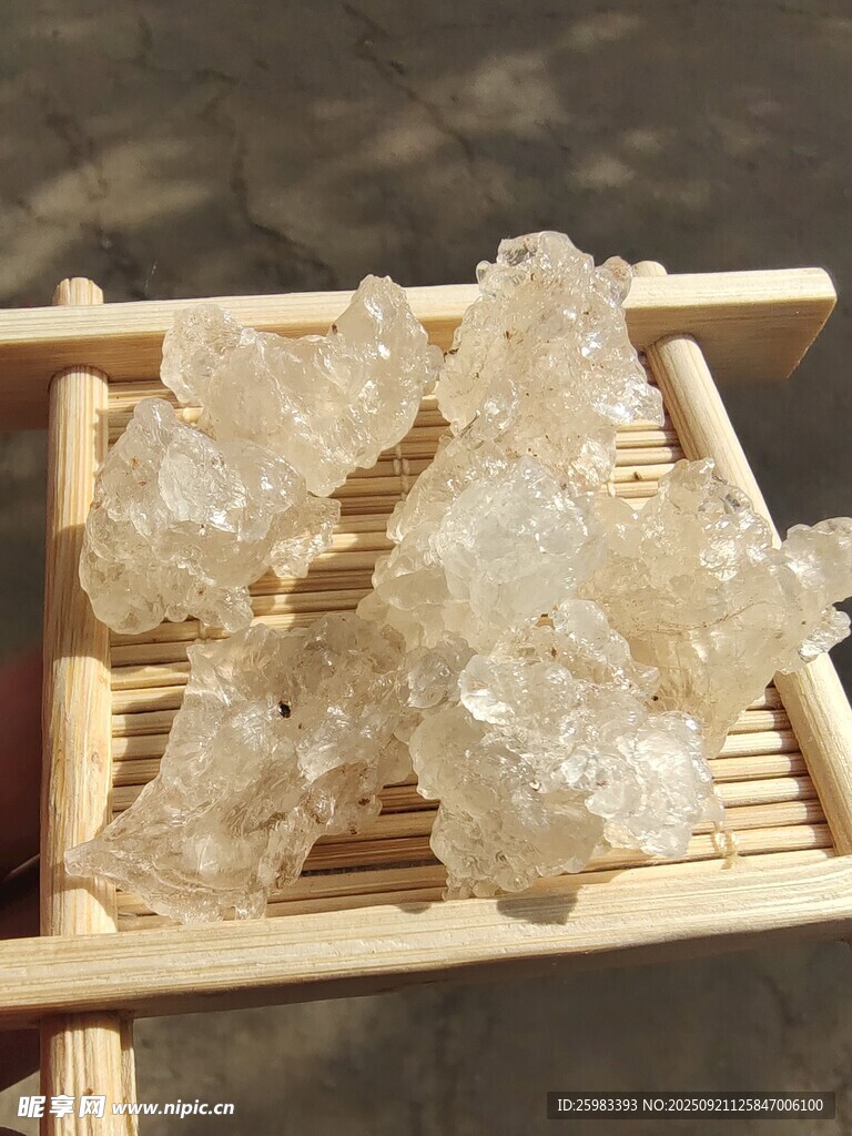 雪燕