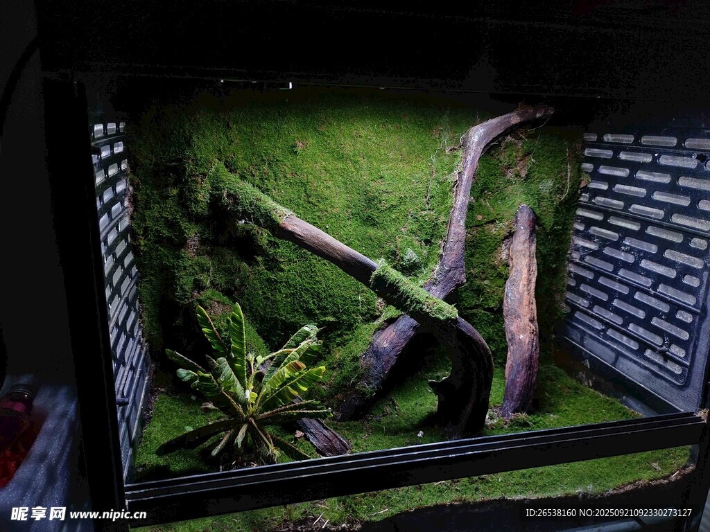 迷你綠植景觀造景