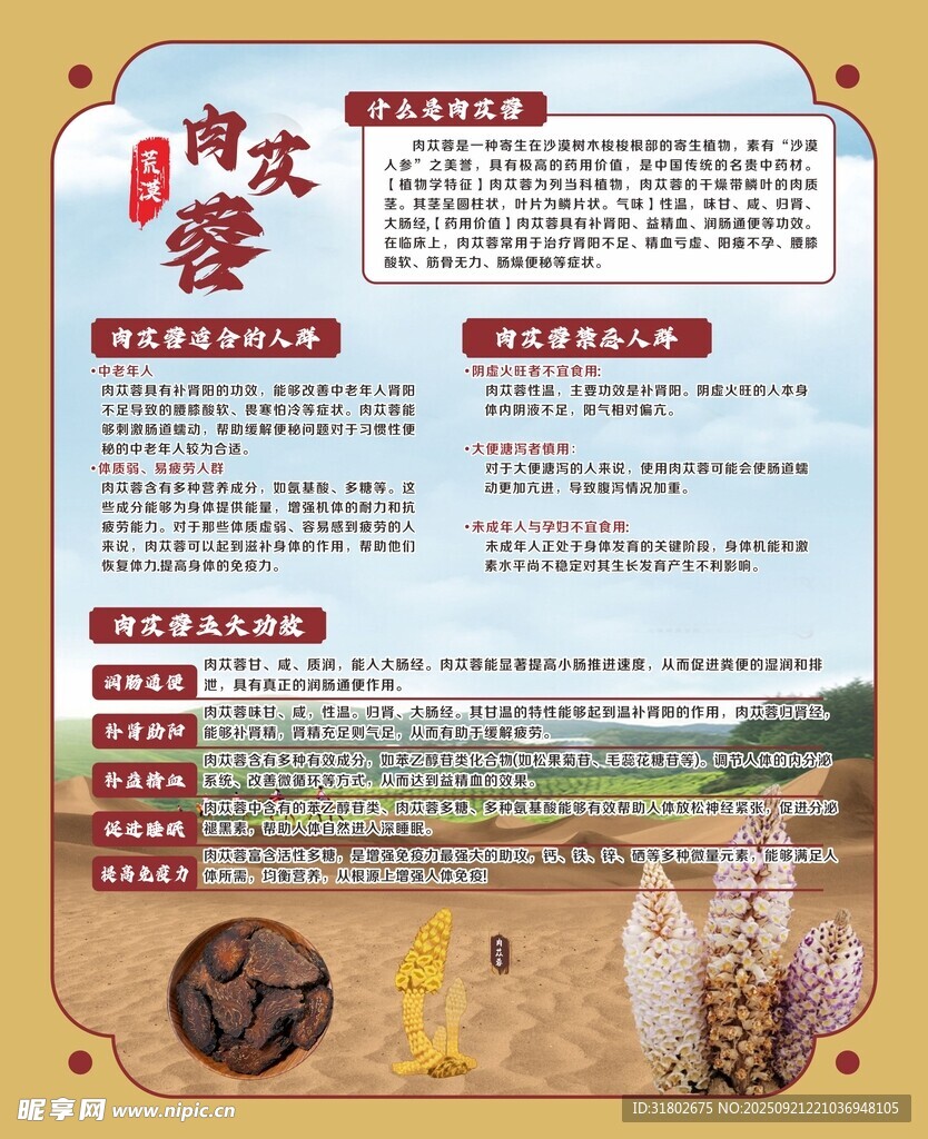 肉蓯蓉介紹宣傳頁