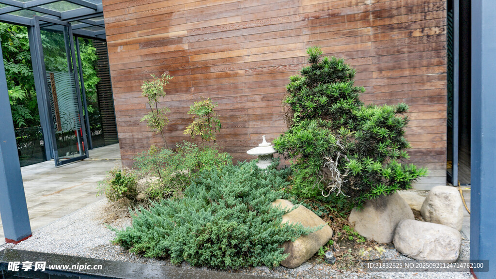 庭院綠植景觀一角