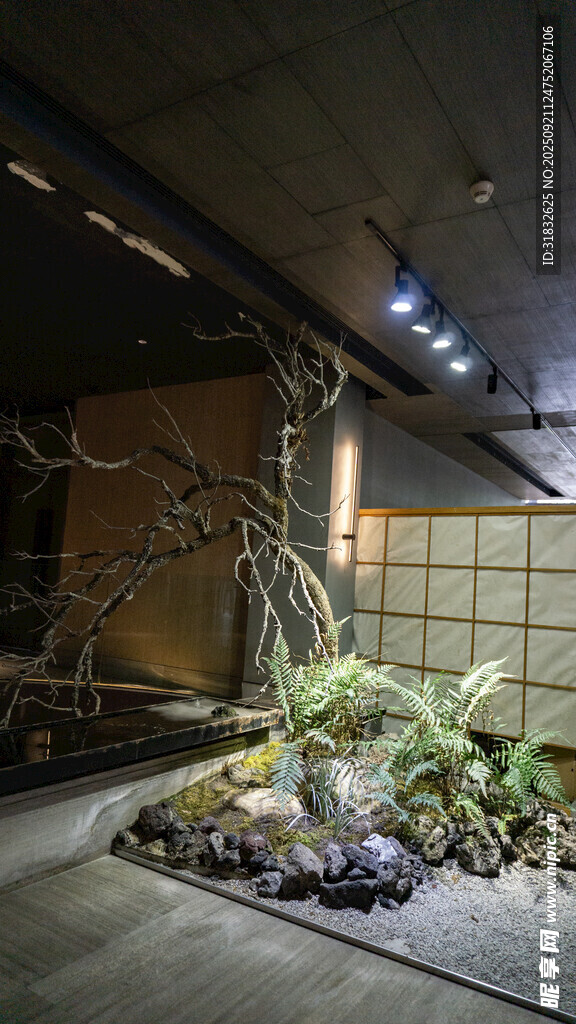 室內(nèi)綠植景觀布置
