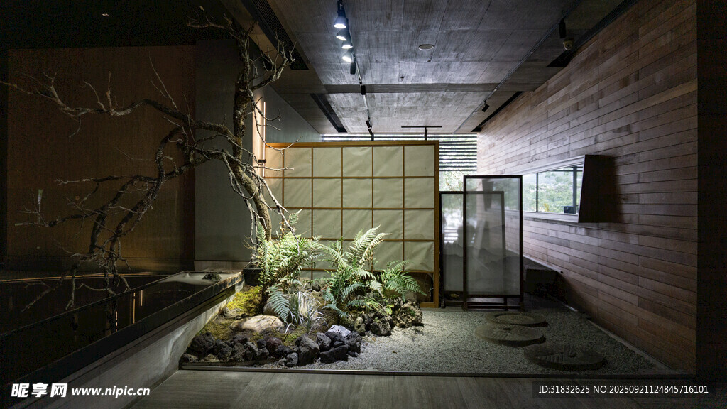 室內(nèi)綠植角落景觀