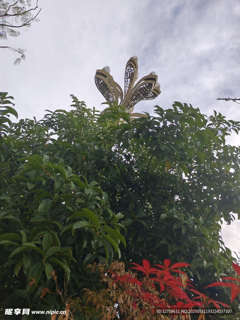 仙人掌立于繁茂綠植間