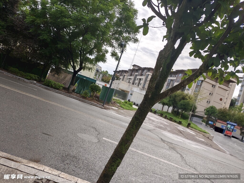 街道旁的綠樹與遠(yuǎn)處景象