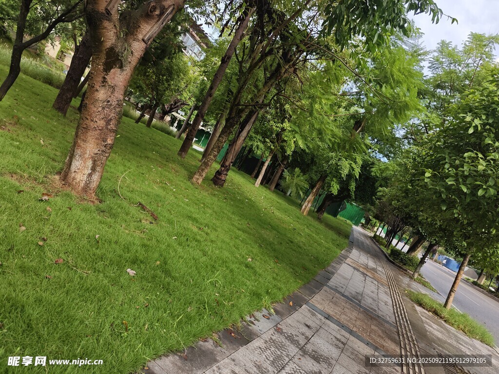公園林蔭小道綠意盎然