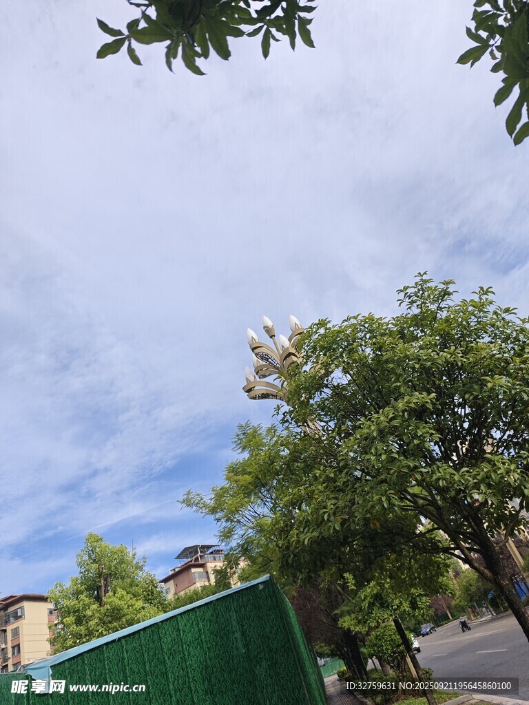 綠樹藍(lán)天間的城市景致