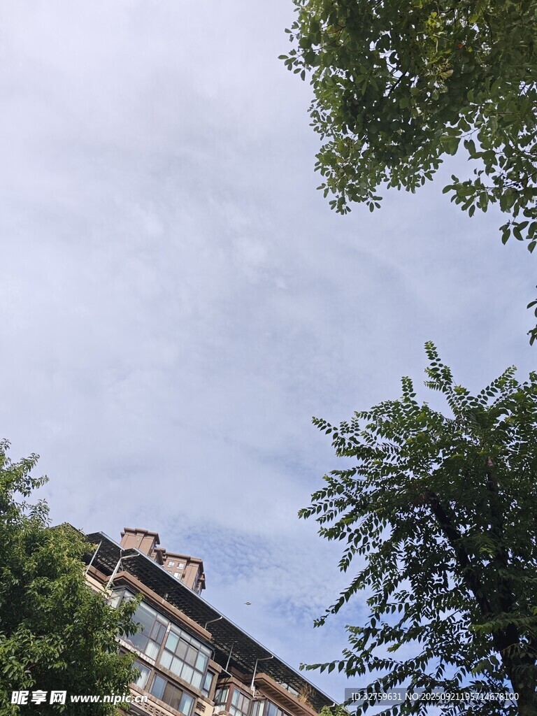 仰視視角下的建筑與綠樹