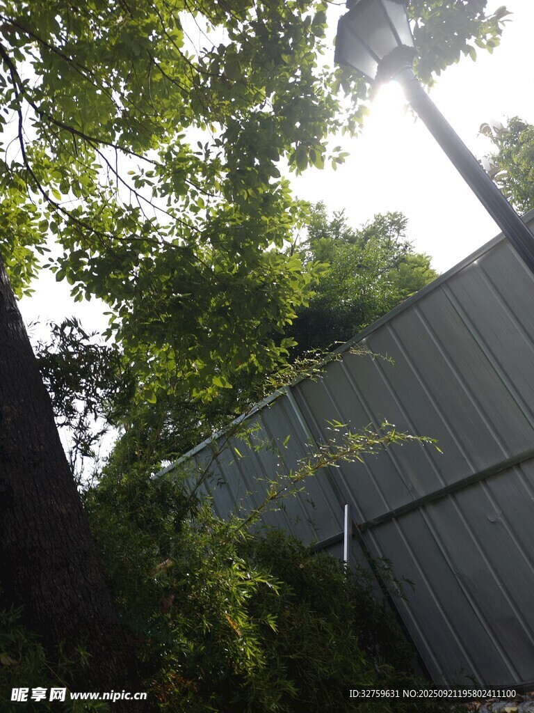 綠蔭下的金屬圍欄景觀