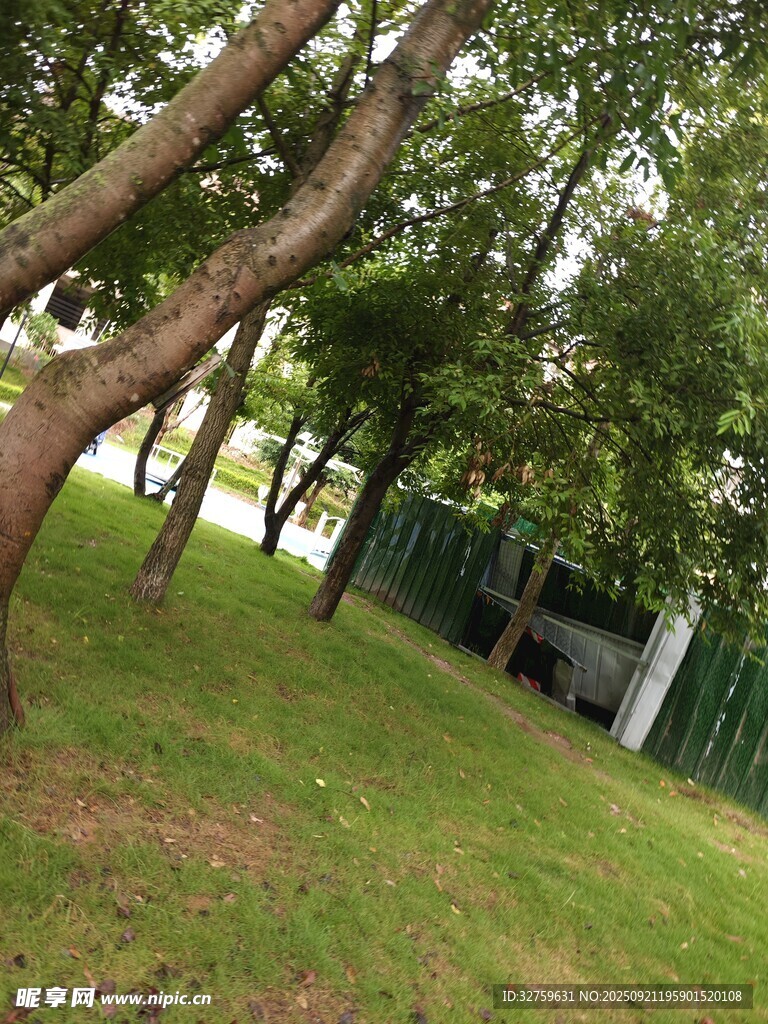 綠樹成蔭的戶外休閑場景