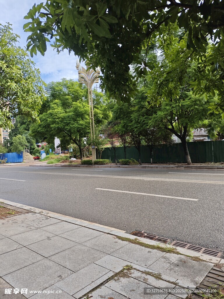 林蔭下的寧靜街道