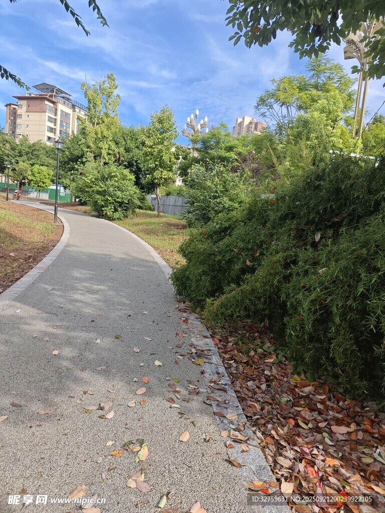 蜿蜒小徑旁綠意盎然