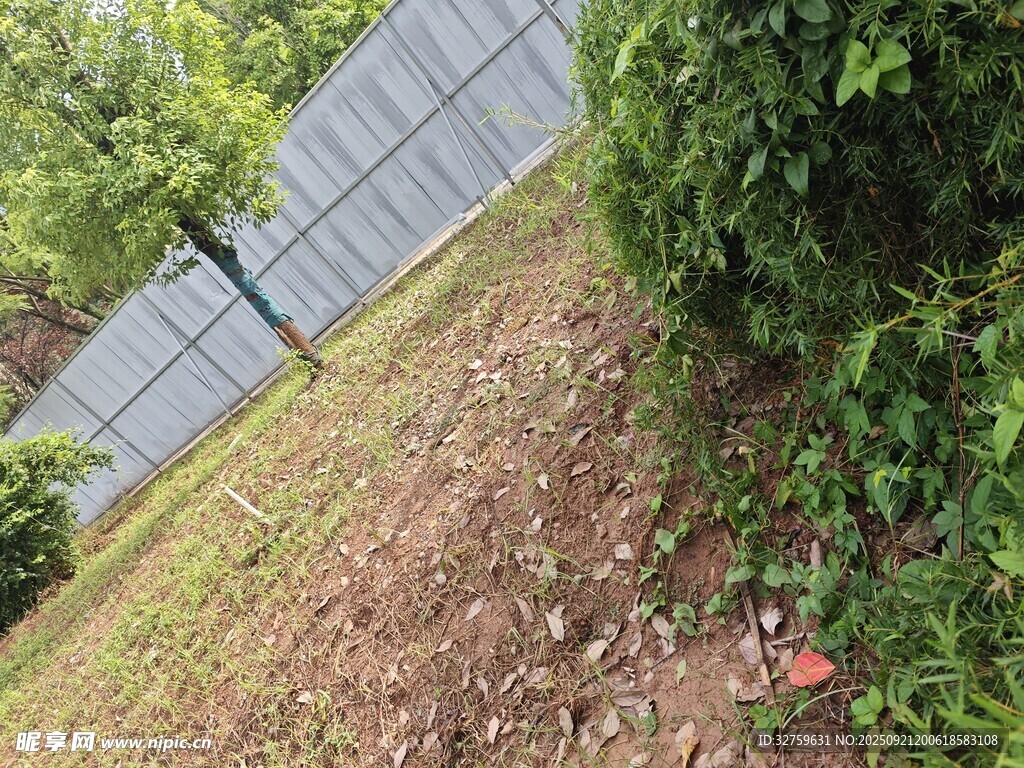戶外綠植與圍欄景觀