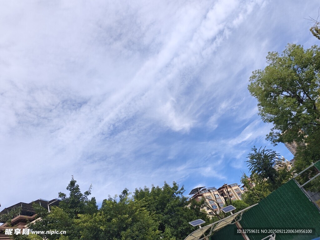藍(lán)天白云下的綠樹(shù)景致