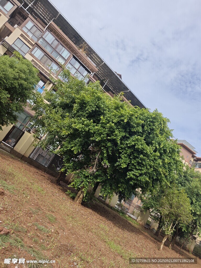 校園綠植環(huán)繞的教學(xué)樓