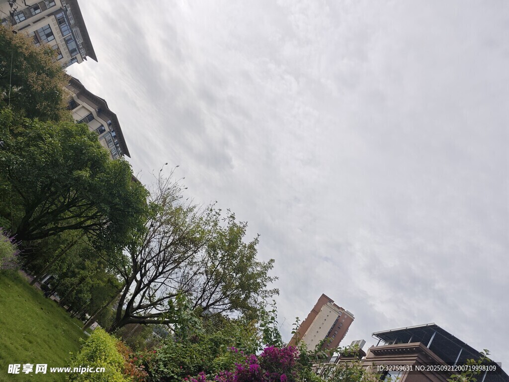 陰天里的綠植與房屋景觀