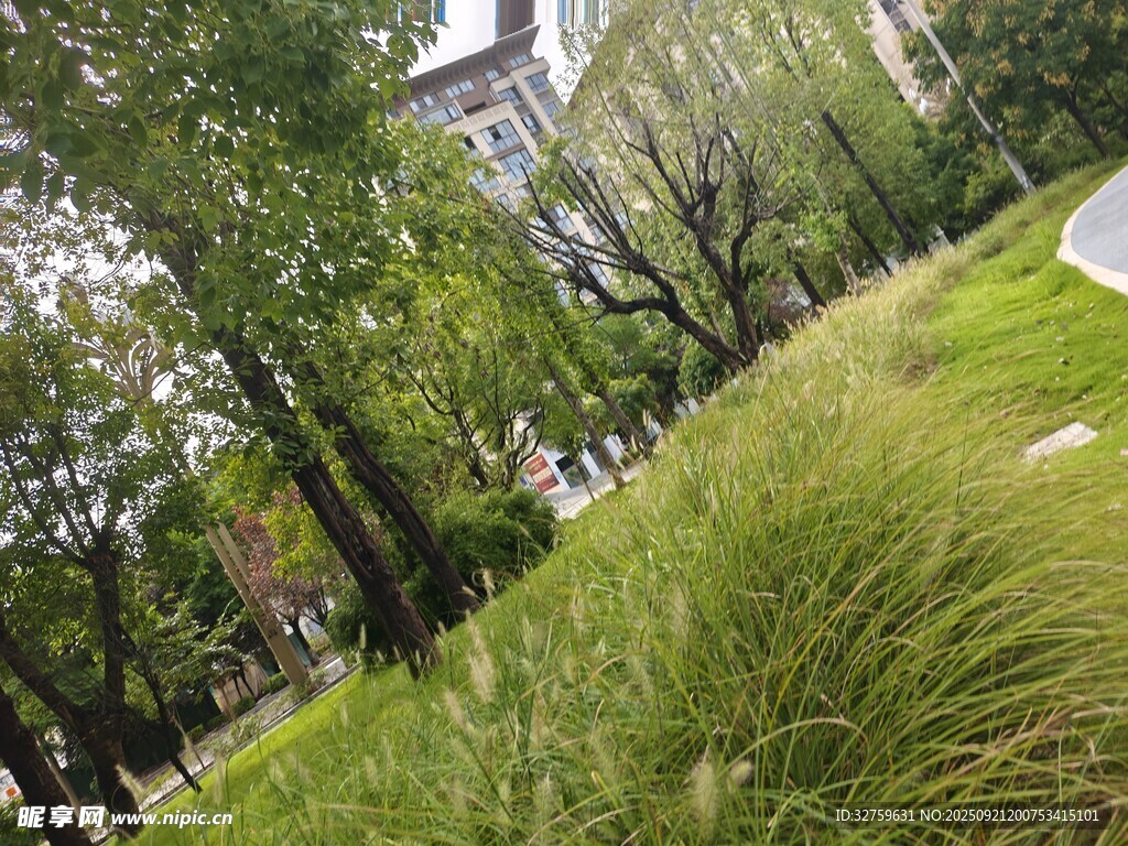 城市中的綠植與建筑景觀