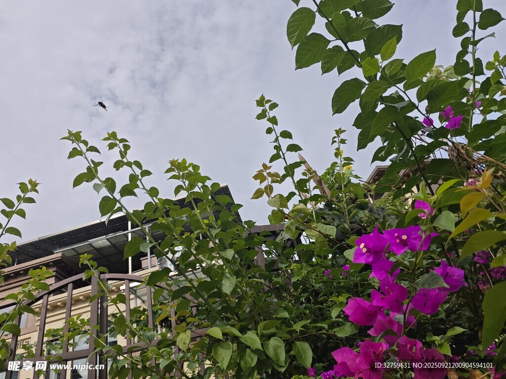 繁花綠葉間的建筑一角