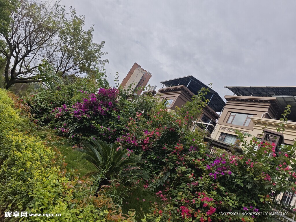 山間花草環(huán)繞的別致建筑