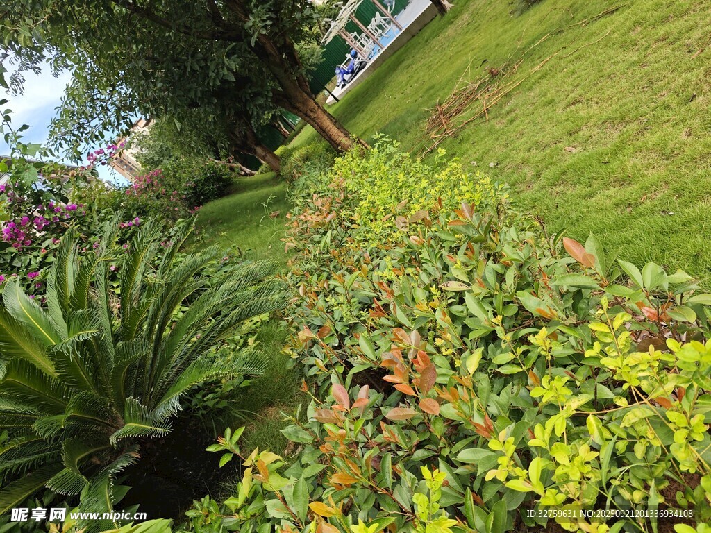 花園綠植景觀
