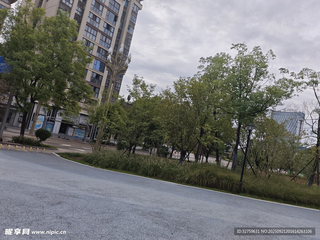 城市街道旁的綠樹與建筑