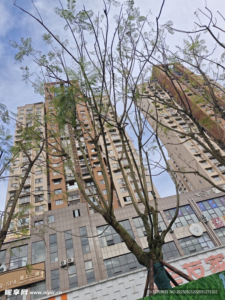 高樓前的樹(shù)木景致