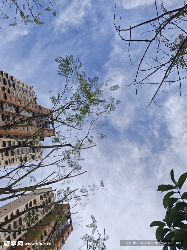 仰視樓宇間的藍(lán)天綠樹