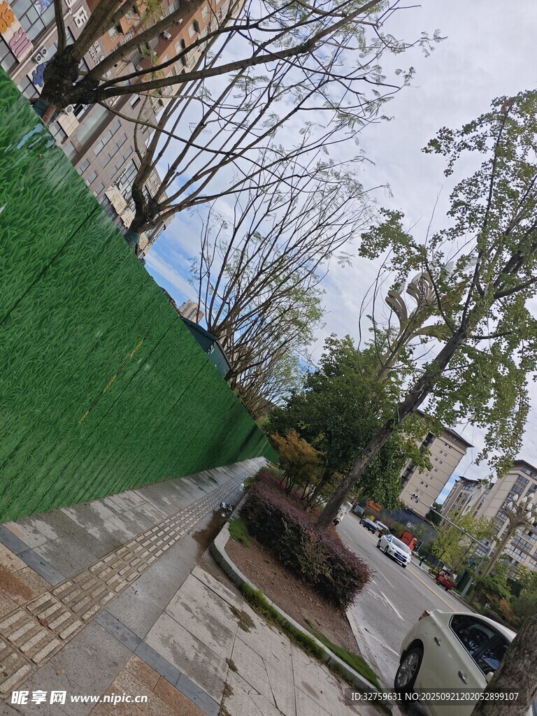 城市街邊綠植與樹(shù)木景觀