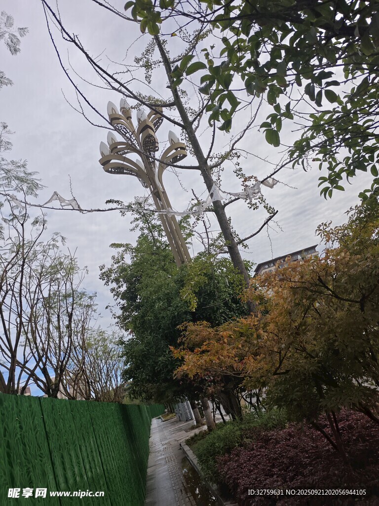 秋日小徑旁的多彩樹木