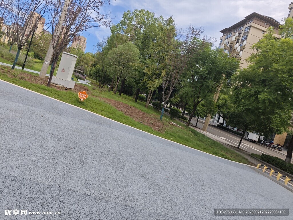 城市中的寧?kù)o道路與綠樹(shù)