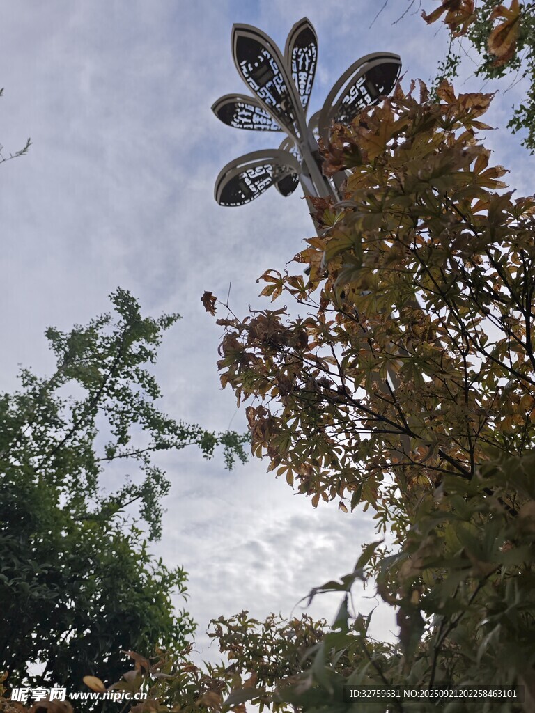 仰視路燈與繁茂枝葉