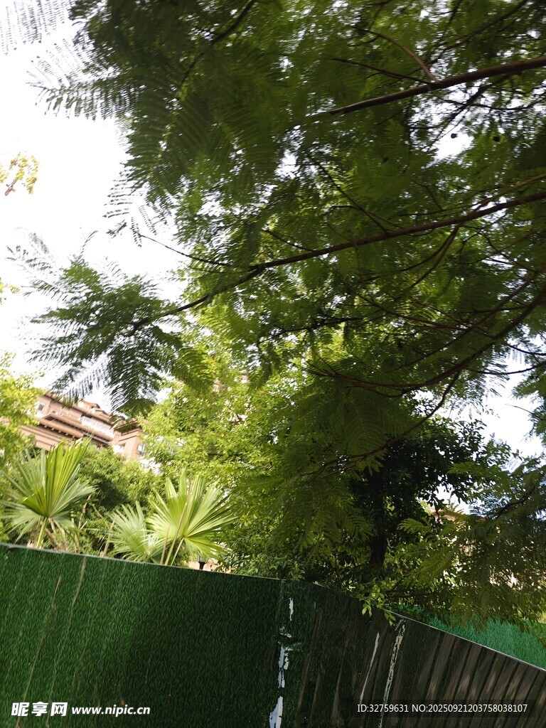 綠葉掩映下的綠色圍欄