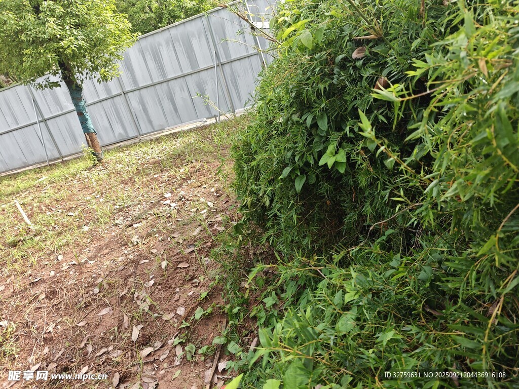 戶(hù)外綠植與圍欄景觀