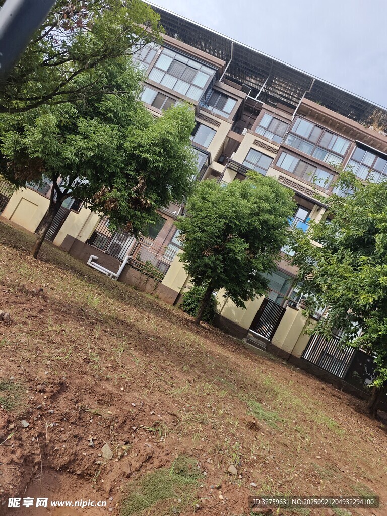 校園建筑旁的綠樹與空地