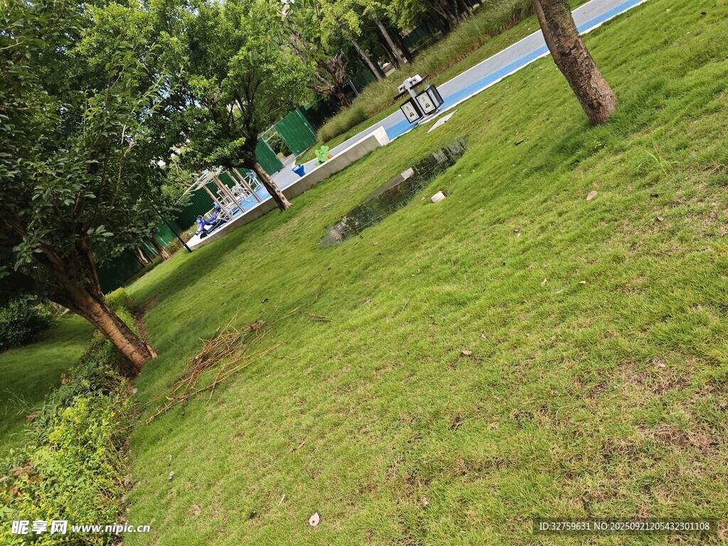 公園草地綠意盎然景致