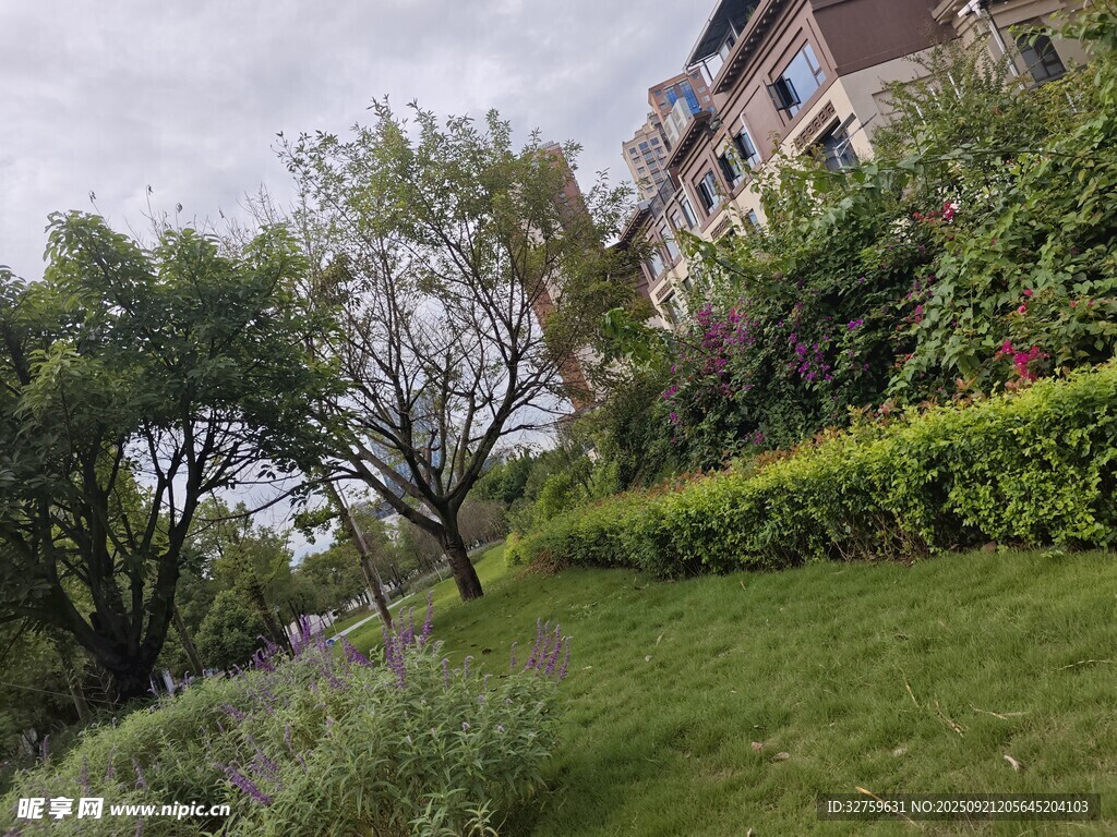 小區(qū)綠意盎然的花園景觀