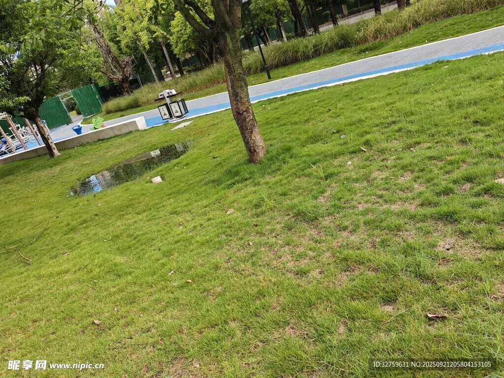 公園草地旁的寧靜景致