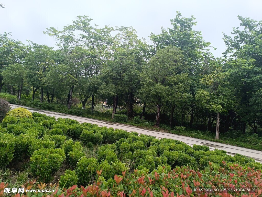 公園綠植小徑風景