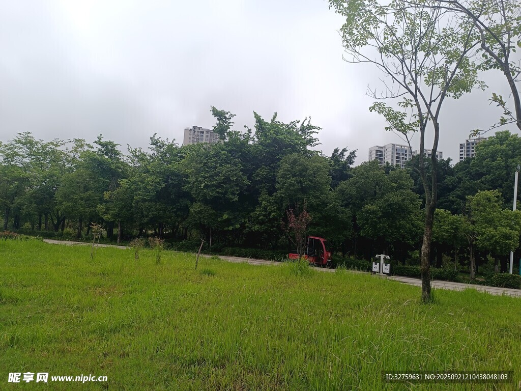 綠意盎然的戶外草地景觀