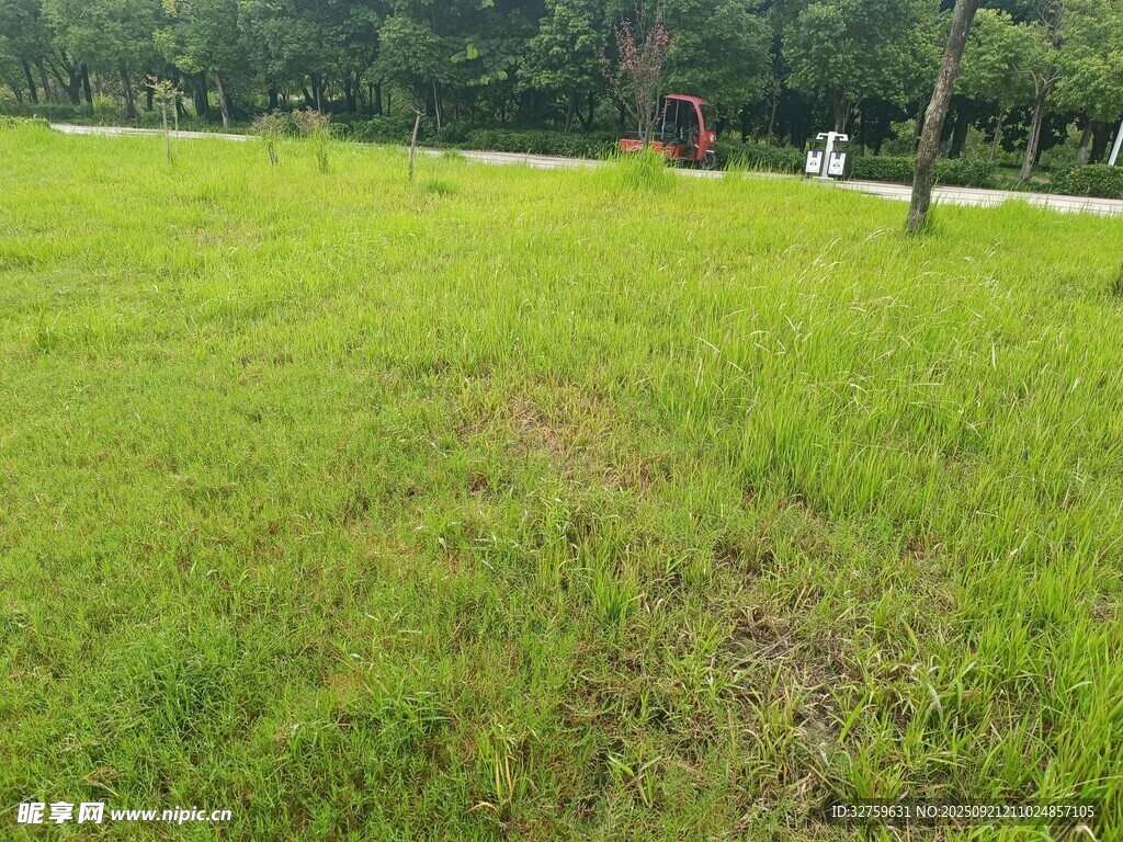 綠意盎然的開(kāi)闊草地景觀