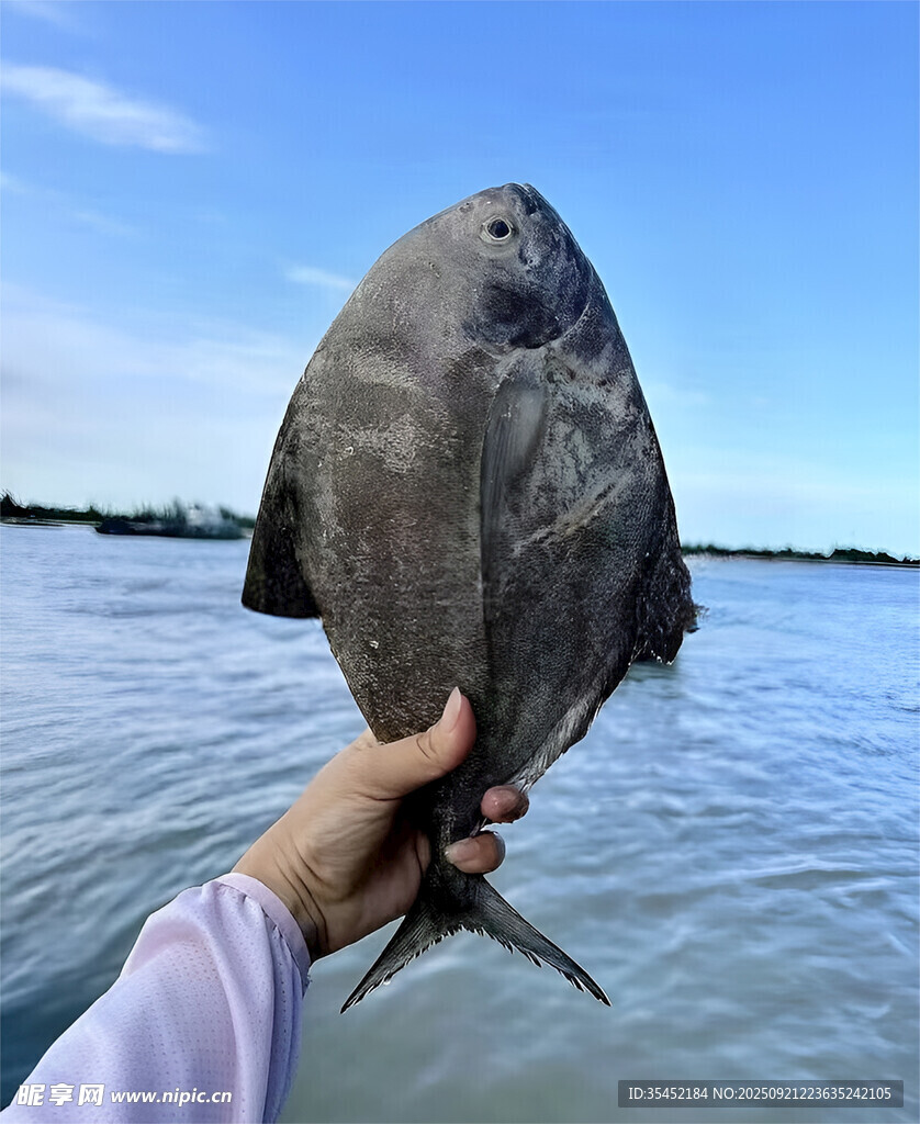 鯧魚