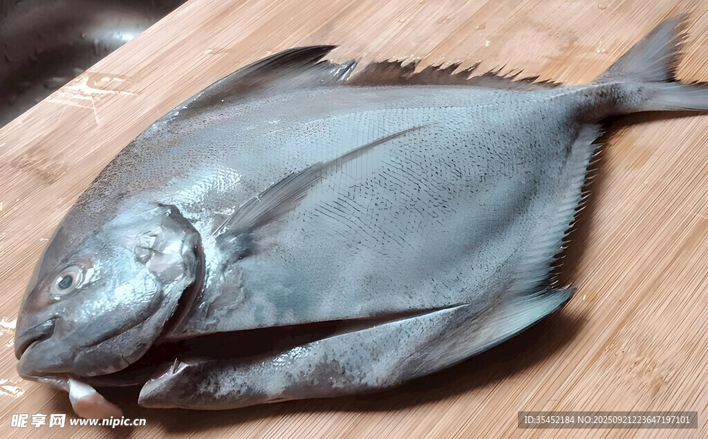 鯧魚(yú)