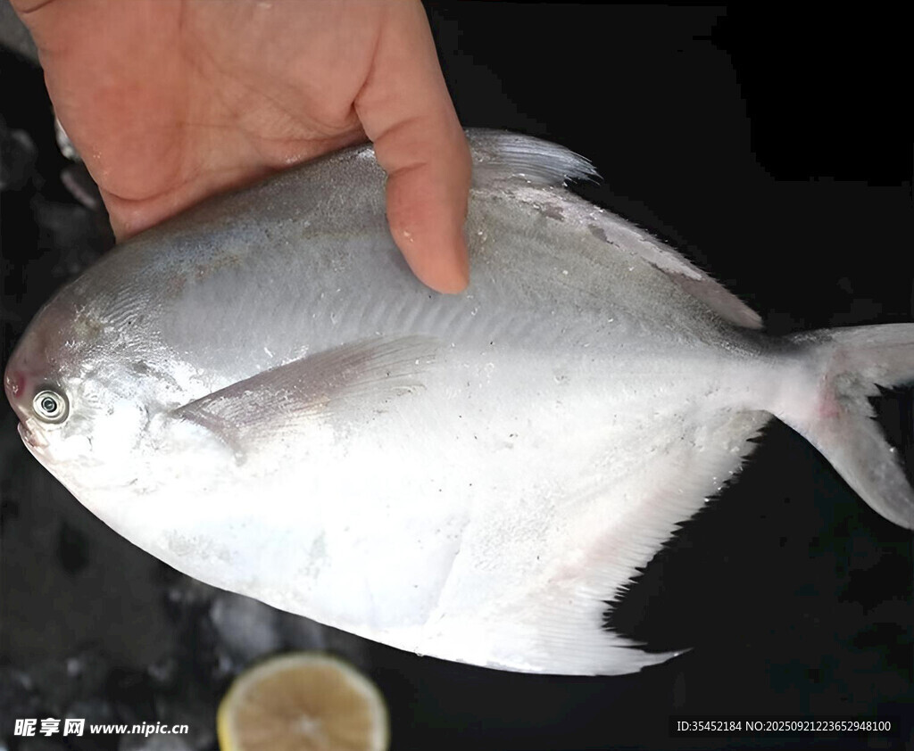 鯧魚